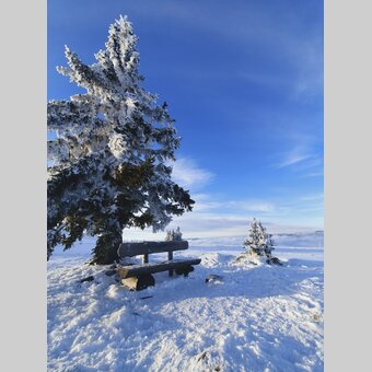 Auf dem Schöckl | © STG | Günther Steininger