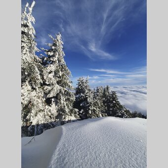 Blick vom tiefverschneiten Schöckl | © STG | Günther Steininger