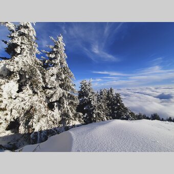 Blick vom tiefverschneiten Schöckl | © STG | Günther Steininger