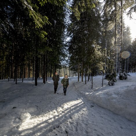 Am Weg zur Blaa-Alm im Ausseerland | © STG | Tom Lamm