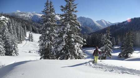 Moaralm mit Blick auf die Seckauer Alpen | © WEGES | Weges