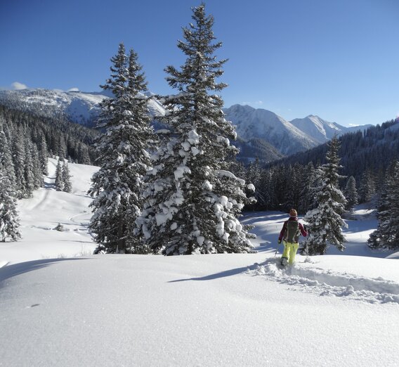 Moaralm mit Blick auf die Seckauer Alpen | © WEGES | Weges