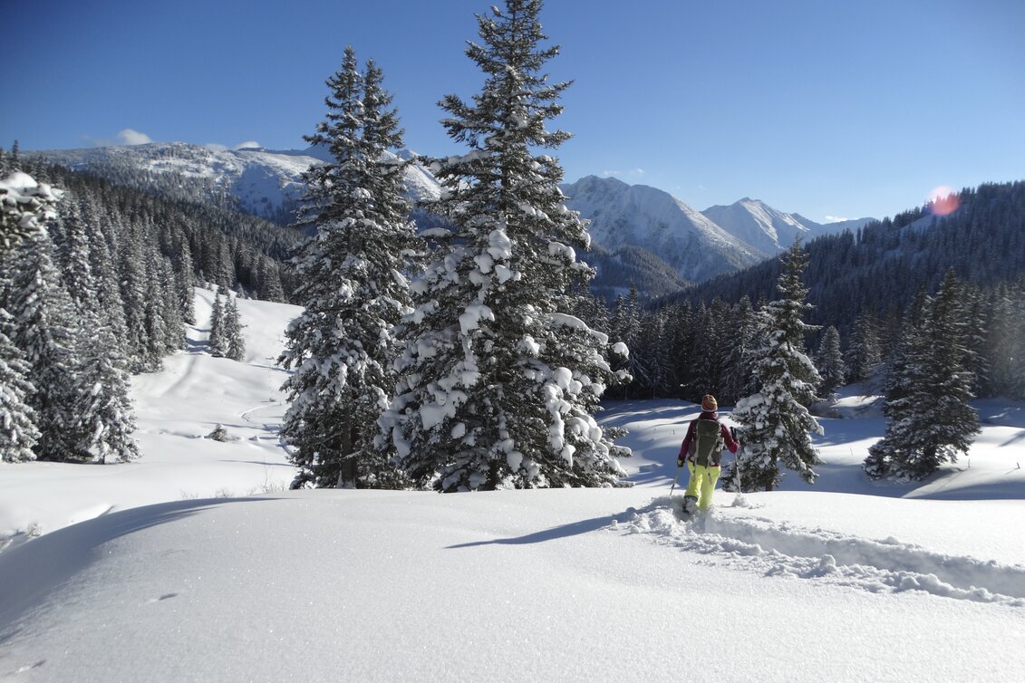 Moaralm mit Blick auf die Seckauer Alpen | © WEGES | Weges