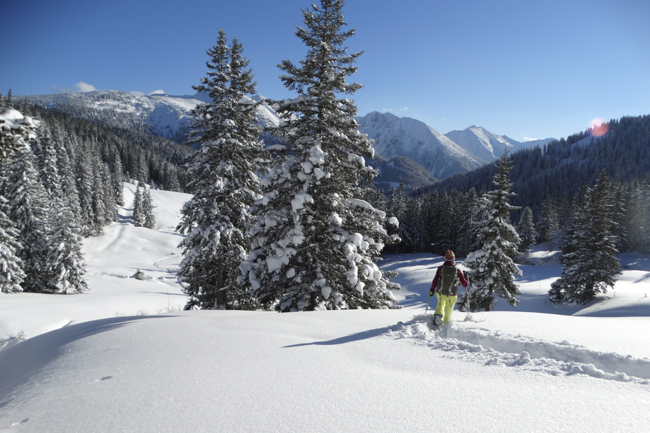 Moaralm with a view to the Seckauer Alpen | © WEGES | Weges