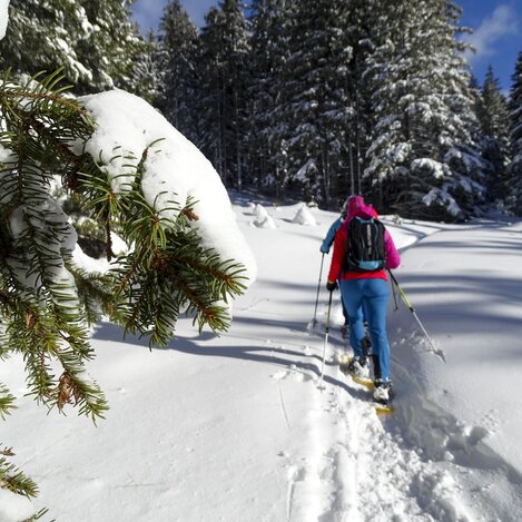 Schneeschuhwandern | © WEGES | Weges