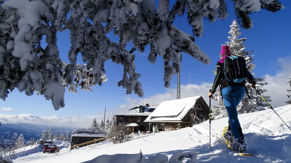 Snowshoeing to the Steinplanhütte (close to Kleinlobming) | © WEGES | Weges