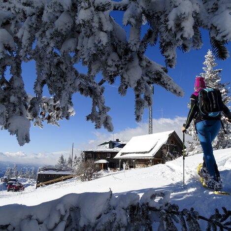 Schneeschuhwandern zur Steinplanhütte | © WEGES | Weges