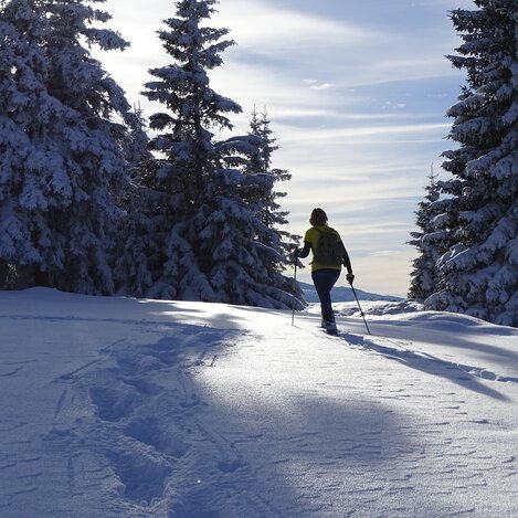 Schneeschuhwandern | © WEGES | Weges