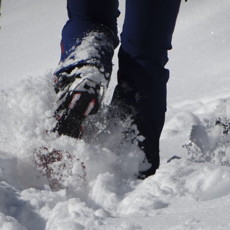 Schneeschuhwandern | © WEGES | Weges