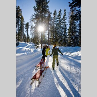 Rodelpartie am Kreischberg | © STG | Tom Lamm