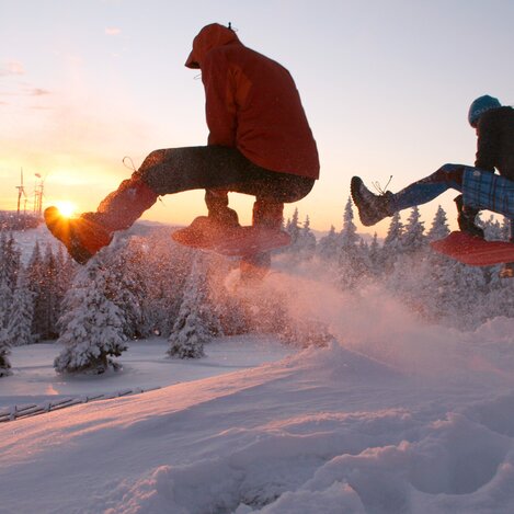 Zipflbobfahren im Joglland in der Oststeiermark | © Thomas Wieser