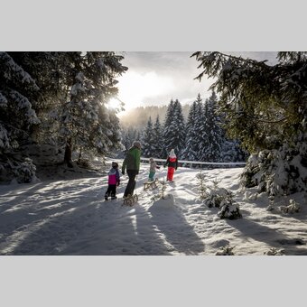 Rodeln in Murau | © STG | Tom Lamm