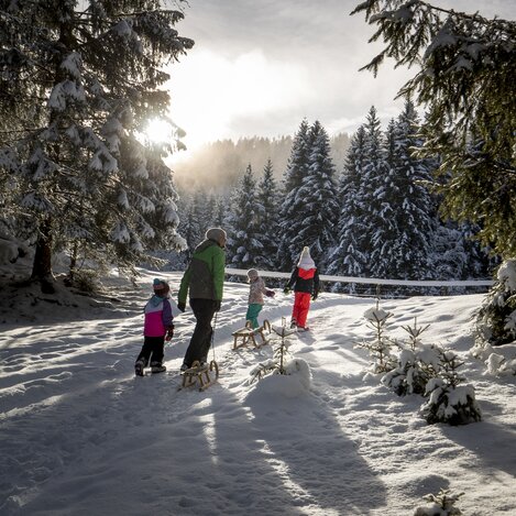 Rodeln in Murau | © STG | Tom Lamm