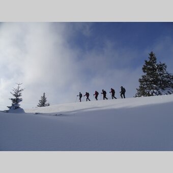 Schneeschuhwandergruppe im Mariazeller Land | © WEGES | Weges