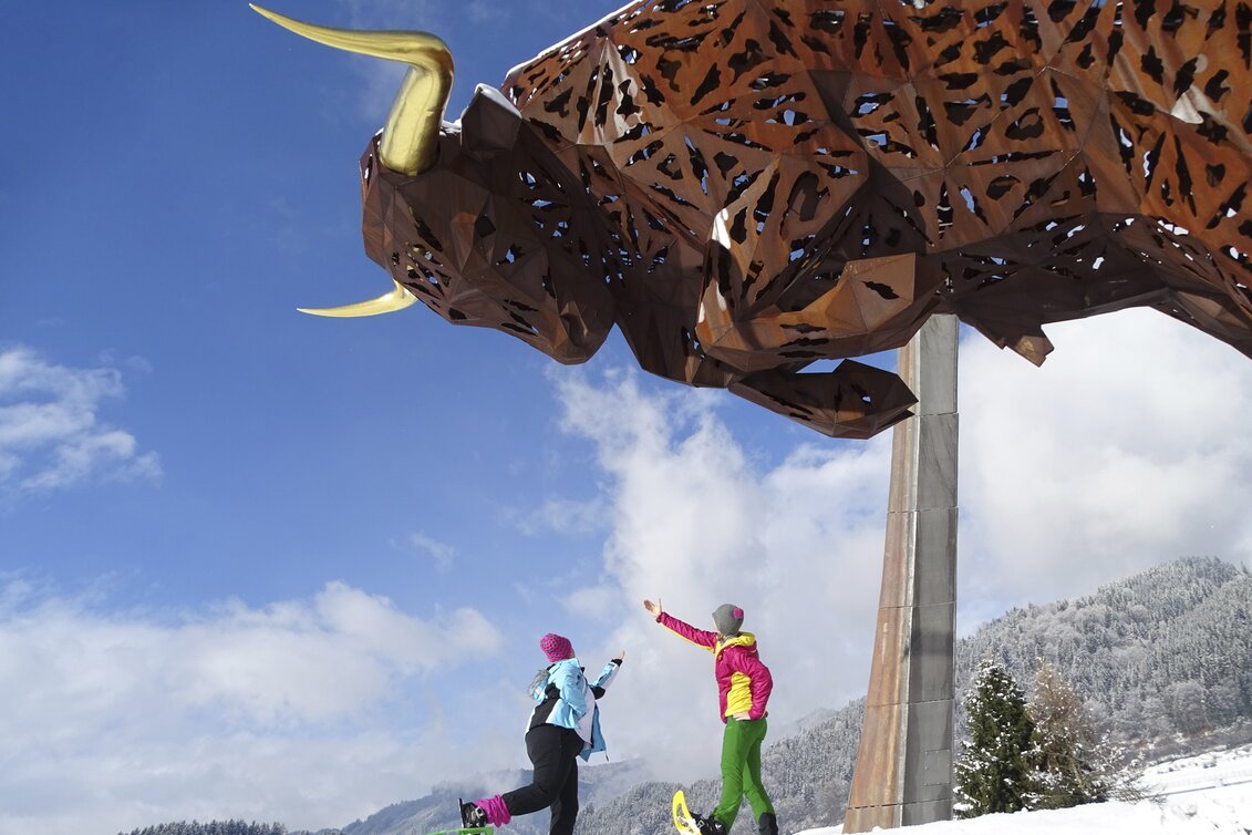 Schneeschuhwandern am Red Bull Ring | © WEGES | Weges
