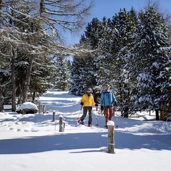 Schneeschuhwandern bei der Tonnerhütte am Zirbitzkogel | © STG | Tom Lamm