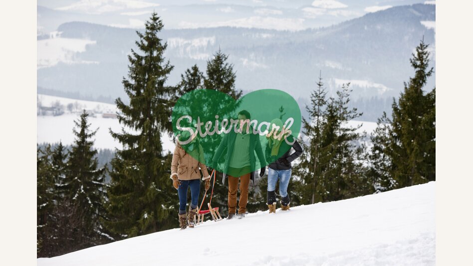 Winter am Plesch | © Graz Tourismus | Tom Lamm