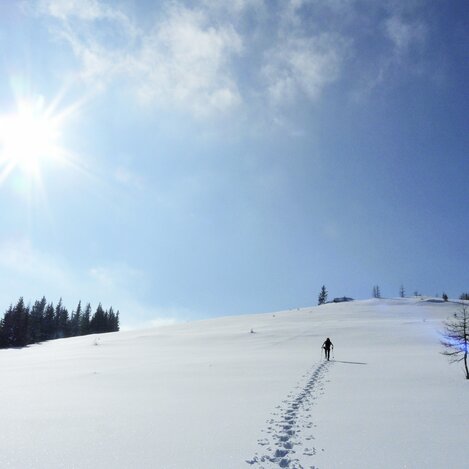 Schneeschuhwandern | © WEGES | Weges