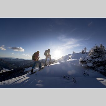 Schneeschuhwandern in Murau | © STG | Tom Lamm