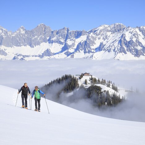 Schneeschuhwandern auf der Hochwurzen mit Bergführer Heli Rettensteiner | © STG | photo-austria.at