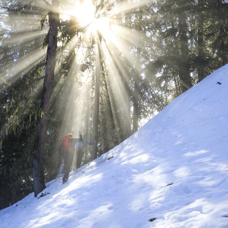 Schneeschuhwandern | © STG | photo-austria.at