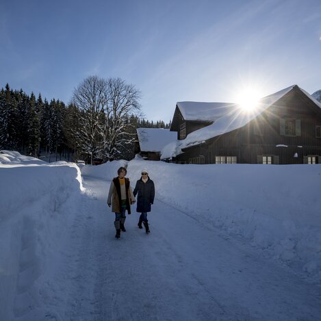 Winterspaziergang auf der Blaa-Alm | © STG | Tom Lamm