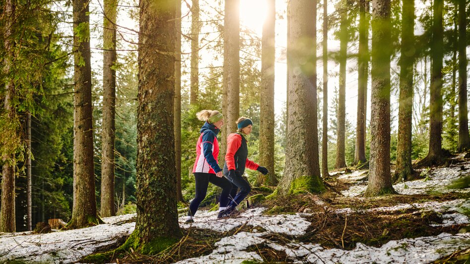 Winter hiking in the forests of Southern Styria | © Südsteiermark | Michael Königshofer