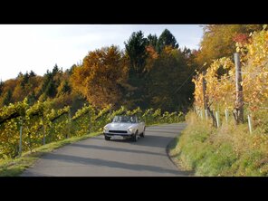 Markus Leitner, MBA | Steiermark Tourismus