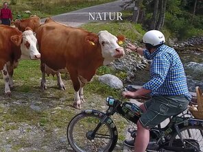 Markus Leitner, MBA | Steiermark Tourismus