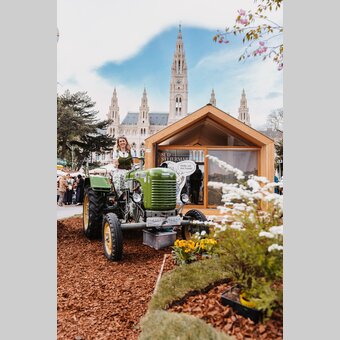 Frühlingsstimmung am Rathausplatz | © STG | Michaela Lorber