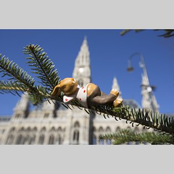 © Juergen Hammerschmid | Juergen Hammerschmid