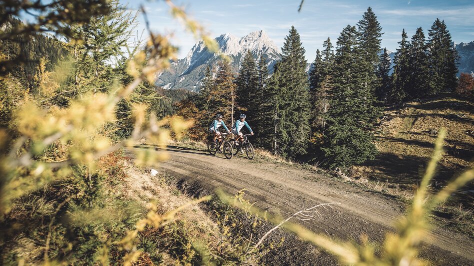  - Impression #2.2 | © Stefan Leitner