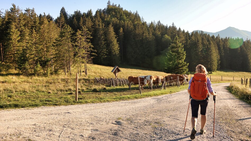 Styrian Iron Trail Dritte Etappe | © WEGES