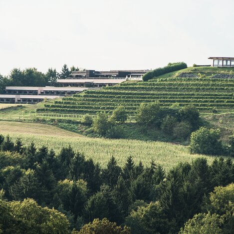 © Rudi Ferder | Rudi Ferder