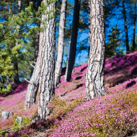 © Michael Jurtin Photography | Michael Jurtin