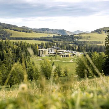 ¬© Harald Eisenberger