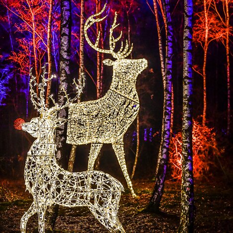 © MK Illumination - LUMAGICA GMBH