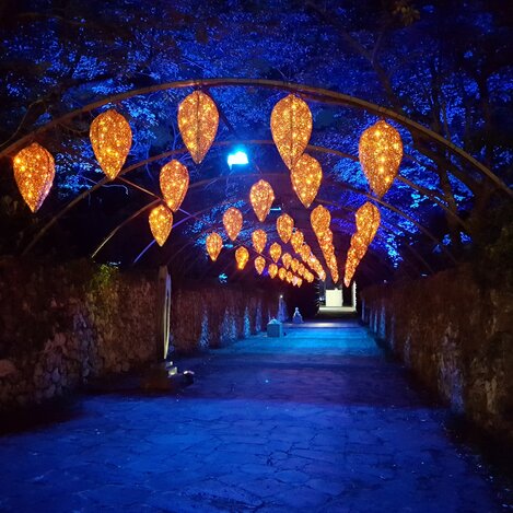 © MK Illumination - LUMAGICA GMBH