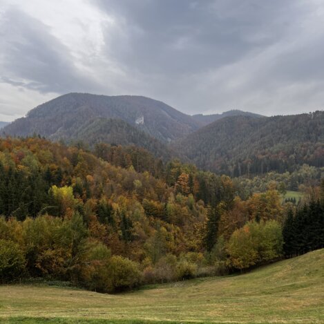 Es herbstelt in der Steiermark. | © STG | Sarah Valda