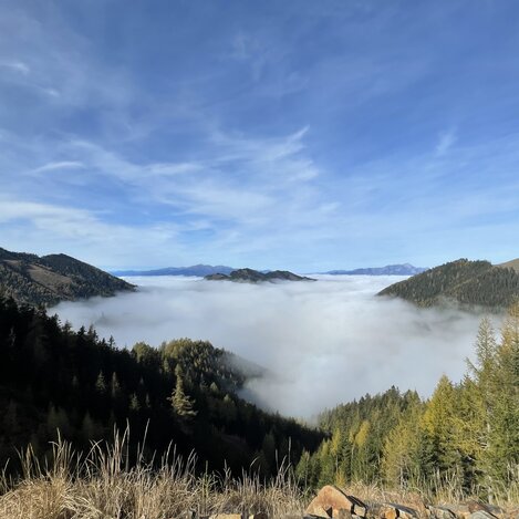 Über der Nebeldecke ist der Ausblick herrlich.  | © STG | Elisabeth Perl