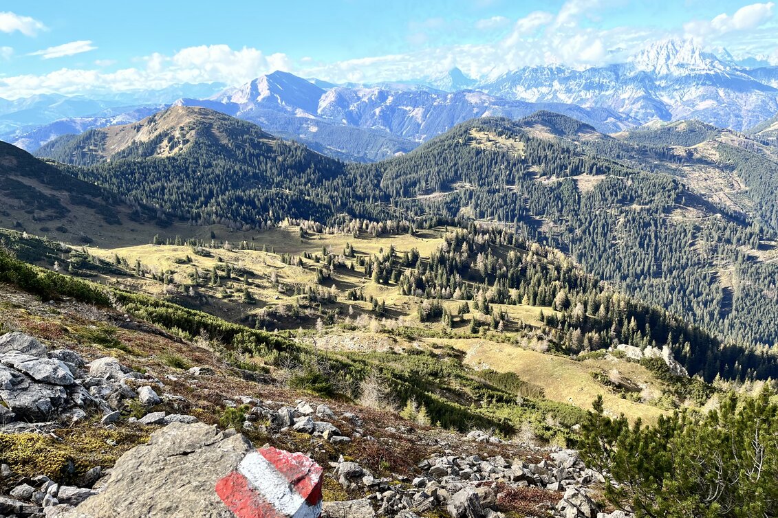 Was für ein sensationeller Ausblick.  | © STG | Barbara Kelz 