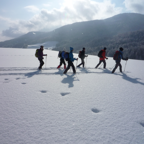 Schneeschuhwandern in der Steirischen Krakau.  | © Joseph Schnedlitz | Schallerwirt 