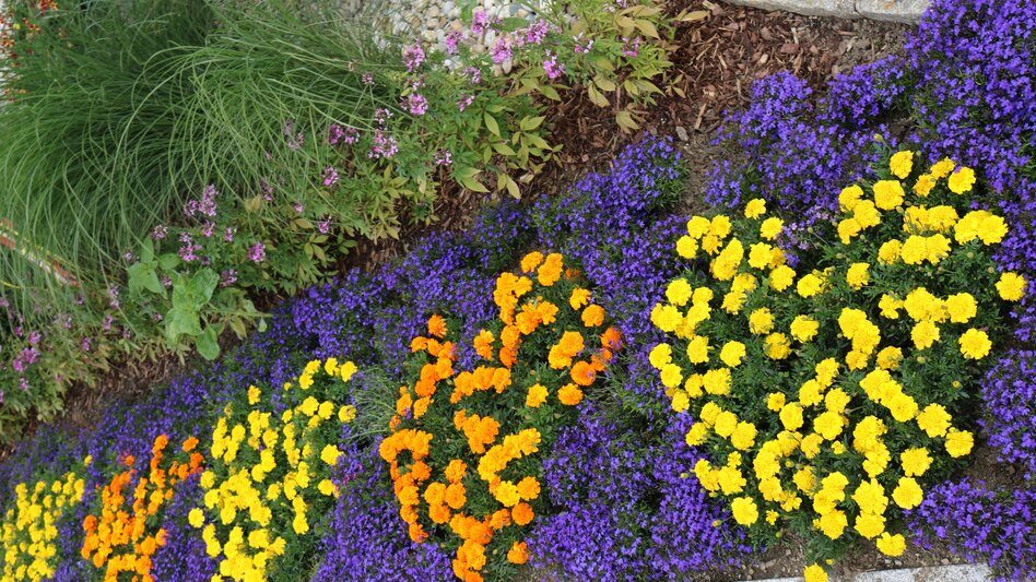 In der Gemeinde Strallegg wurden von Anita Feiner gleich mehrere Herzen gepflanzt. 