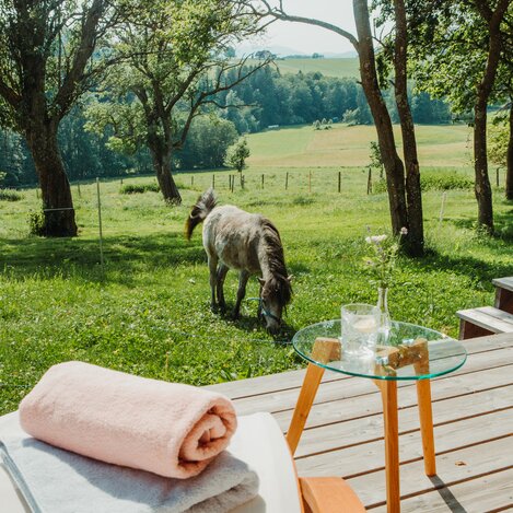 © Zehenthof | Maria Zottler