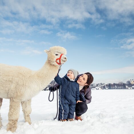 © Schilcherland Steiermark | Lupi Spuma