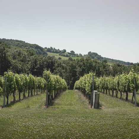 © Ulrike Rauch | Ulrike Rauch