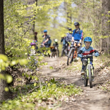 © Schneestern | Markus Frühmann