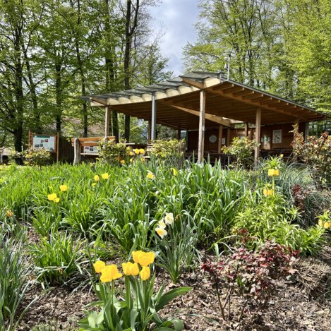 Freiluftklassenzimmer im Schlosspark Pöllau | © STG | Lisa Anderle