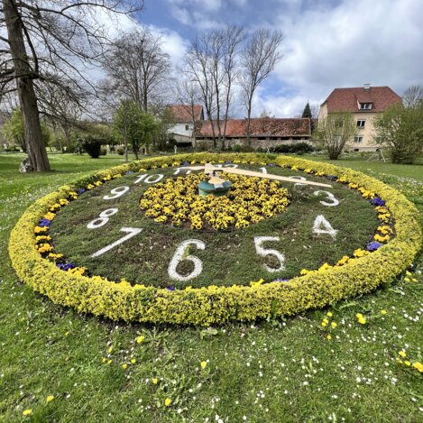 Blumenuhr im Schlosspark Pöllau | © STG | Lisa Anderle