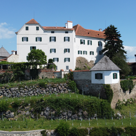 © Schloss Kapfenstein 